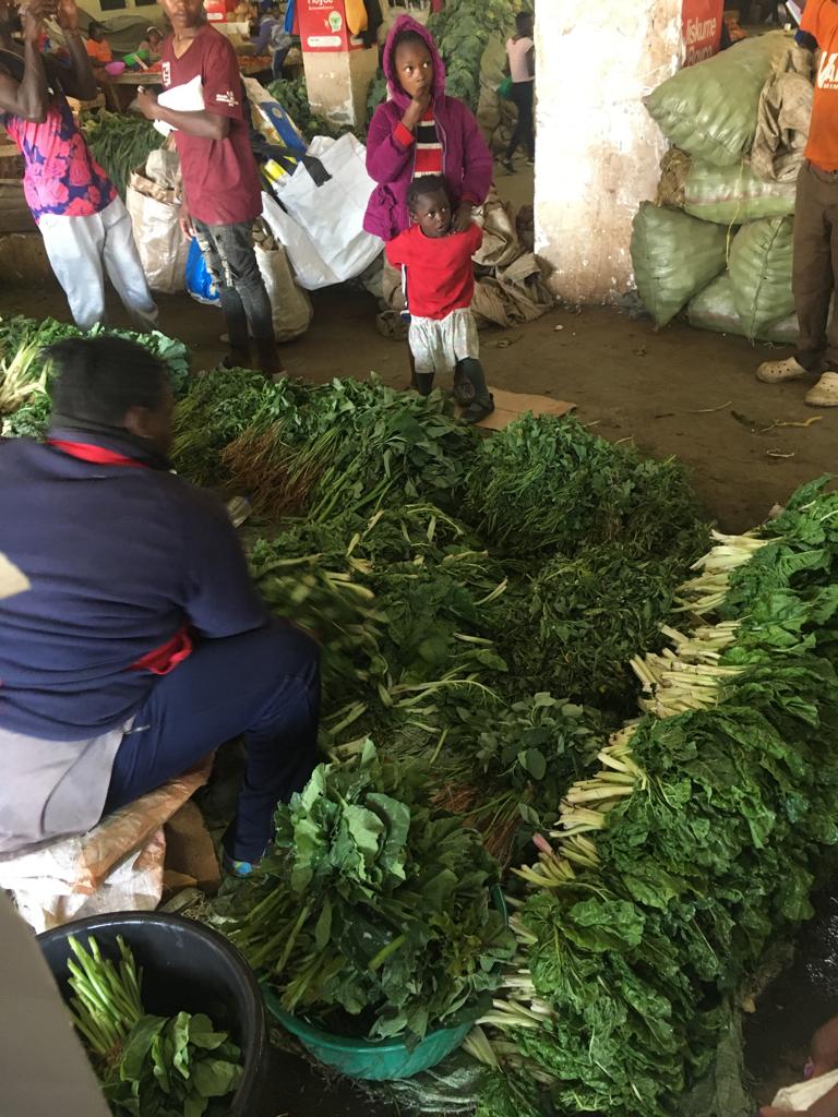 KarugaThitu's tweet photo. Organic food all day,everyday
#CHAKULAChetuKADJ
#NJAARevolution
#FOODSovereignty https://t.co/DwG98jVnho