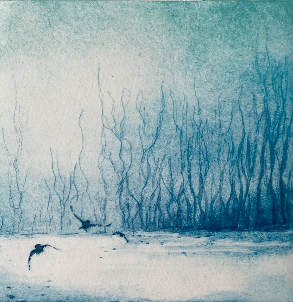 'Winter's Bird In Blue' This morning I heard the bird song On a cold winters day The rain had fallen oh so long Washing my worries all away I knew now that the time had come To cut my ties and embrace All I have around me makes me feel so warm Through these harsh winter days
