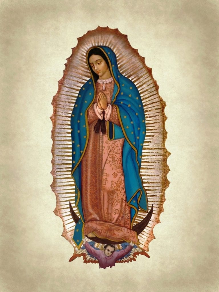 Let's offer one Hail Mary in honor of our Lady of Guadalupe. Please comment Amen in response. #OneHailMarycampaign #LadyofGuadalupe #MotherMary