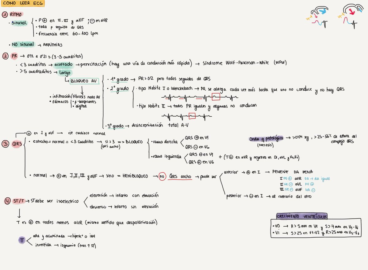 Hice esto en 3 de carrera y lo acabo de recuperar ya que me ayudó mucho en su dia (espero no haya ningún error). Con esto resumo un poco el ECG 🫶🏻