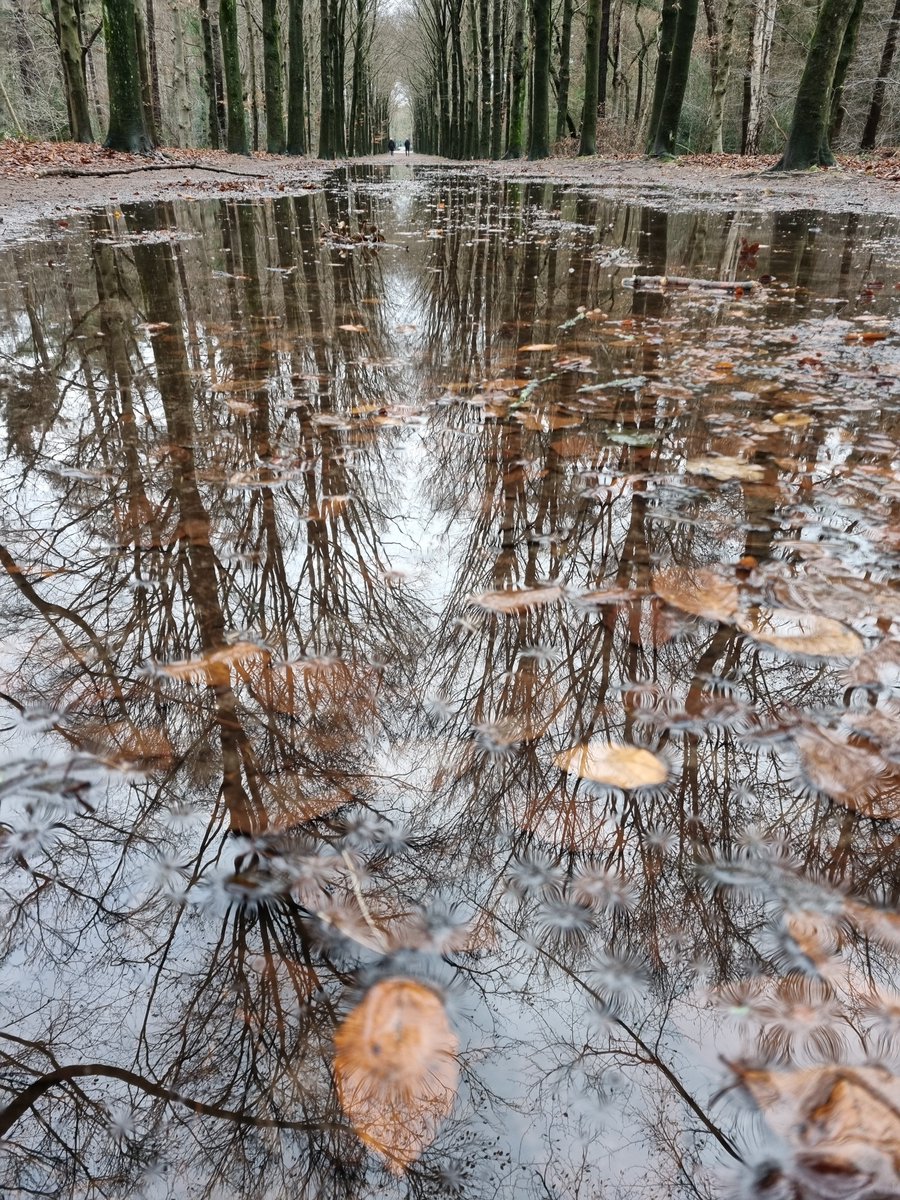 KeyFlex's tweet image. #goldencopperglow #herfstcamouflage 😉😁😆