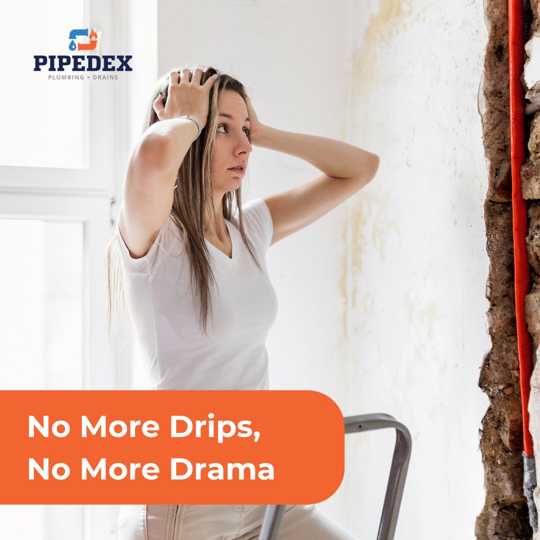 PipedexPlumbing's tweet image. Leak-Free Lifestyle: Because Every Drop Counts. 

Click Now for Leak-Free Living – Where Every Drop Adds to Your Radiance: pipedex.com

#pipedex #plumbing #pipelines #plumbingservice #replacepipes #repairpipes #spartanburg #greenville #repairservices
