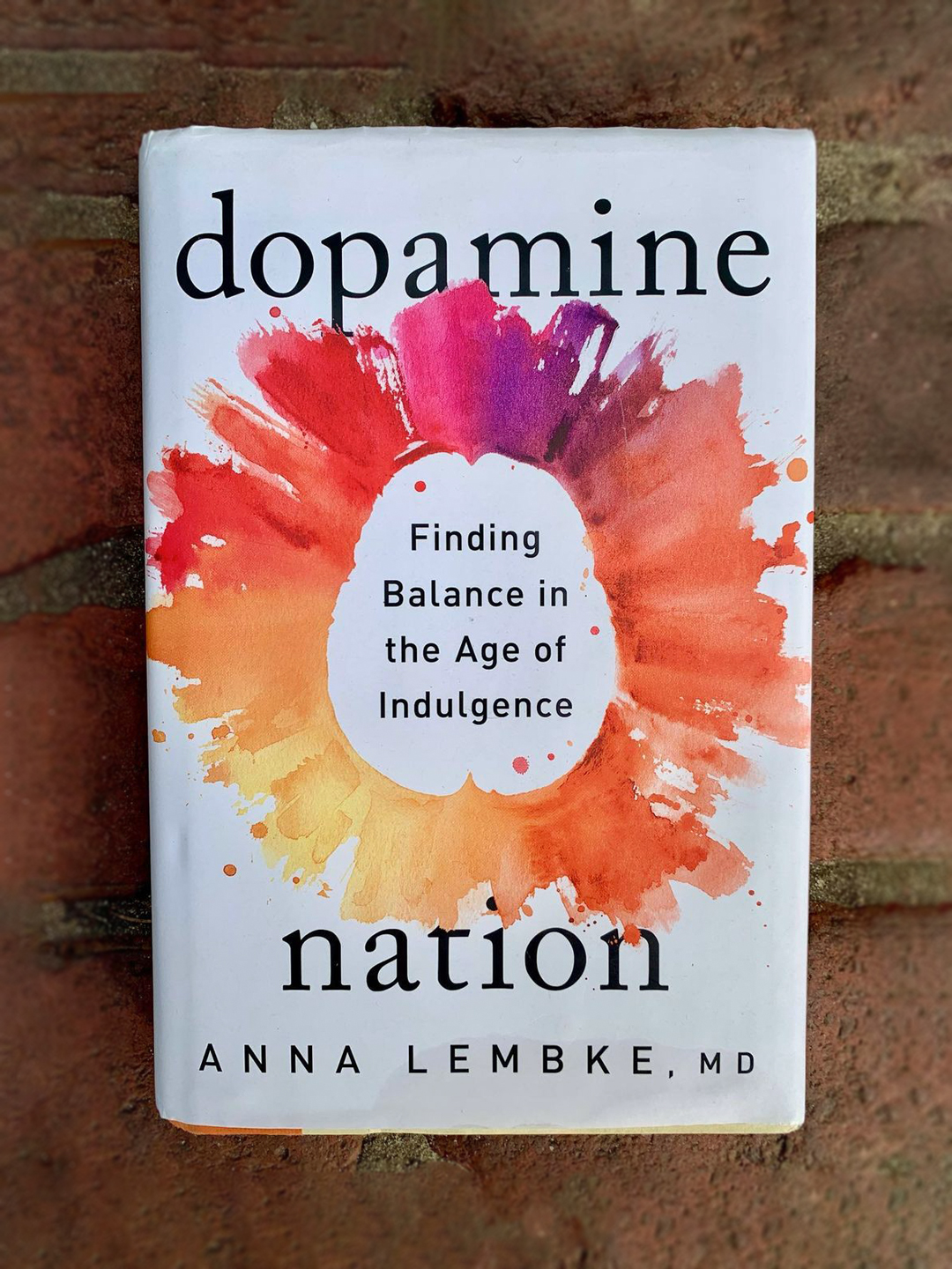 Dopamine Nation: Finding Balance in the Age of Indulgence