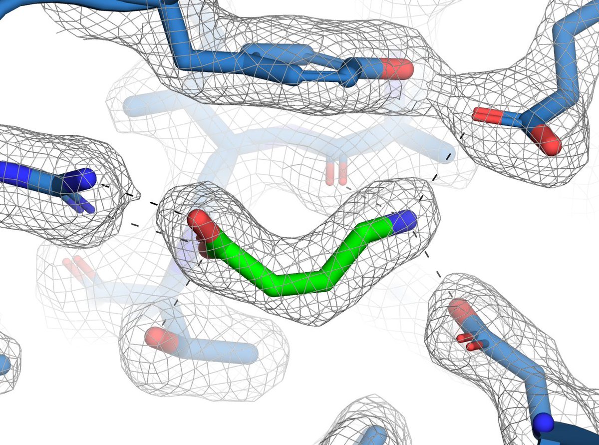 IBENS (@ibens_ens) on Twitter photo 🥁Out on <a href="/ScienceMagazine/">Science Magazine</a>
👉GluD1 binds GABA and controls inhibitory plasticity
🔗science.org/doi/10.1126/sc…
👏Congratulations to Laura Piot and <a href="/LabPaoletti/">Paoletti Lab</a>, and @MonyLaetitia <a href="/RaduAricescu/">Radu Aricescu</a> and all authors at #IBENS and @MRC_LMB for this achievement! 🥁Out on <a href="/ScienceMagazine/">Science Magazine</a>
👉GluD1 binds GABA and controls inhibitory plasticity
🔗science.org/doi/10.1126/sc…
👏Congratulations to Laura Piot and <a href="/LabPaoletti/">Paoletti Lab</a>, and @MonyLaetitia <a href="/RaduAricescu/">Radu Aricescu</a> and all authors at #IBENS and @MRC_LMB for this achievement!
