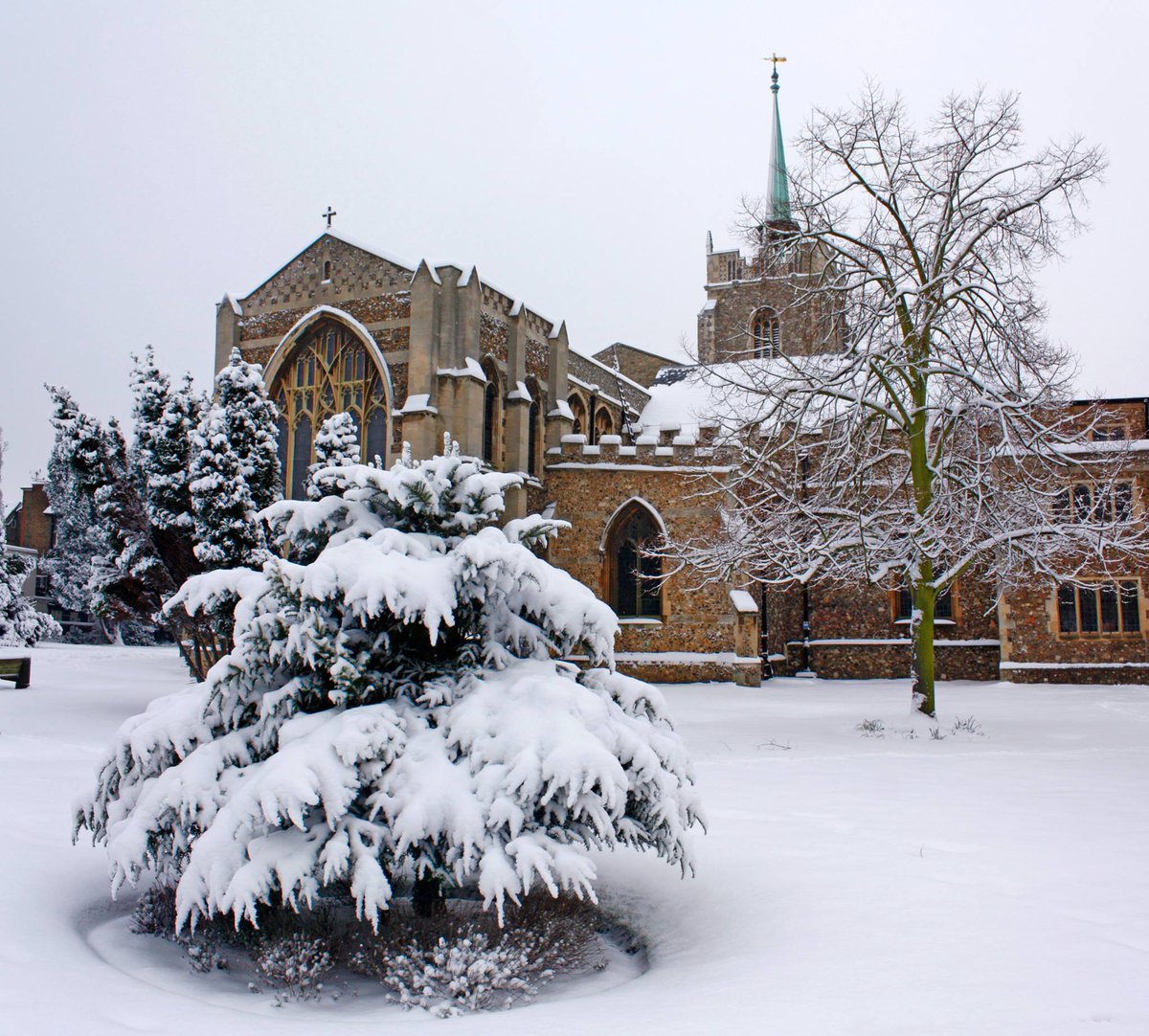 Chelmsford City Council (@chelmscouncil) on Twitter photo 🎄Chelmsford’s Civic Carol Service takes place at <a href="/CCathedral/">Chelmsford Cathedral</a> this Friday at 7pm, in support of <a href="/ChelmsMayor/">Chelmsford Mayor</a>'s charity <a href="/ymcaessex/">YMCA Essex</a>.
🌟Members of the public are welcome to attend the service or watch it via YouTube: youtube.com/live/xUQYkX373…
Please note spaces will be limited. 🎄Chelmsford’s Civic Carol Service takes place at <a href="/CCathedral/">Chelmsford Cathedral</a> this Friday at 7pm, in support of <a href="/ChelmsMayor/">Chelmsford Mayor</a>'s charity <a href="/ymcaessex/">YMCA Essex</a>.
🌟Members of the public are welcome to attend the service or watch it via YouTube: youtube.com/live/xUQYkX373…
Please note spaces will be limited.