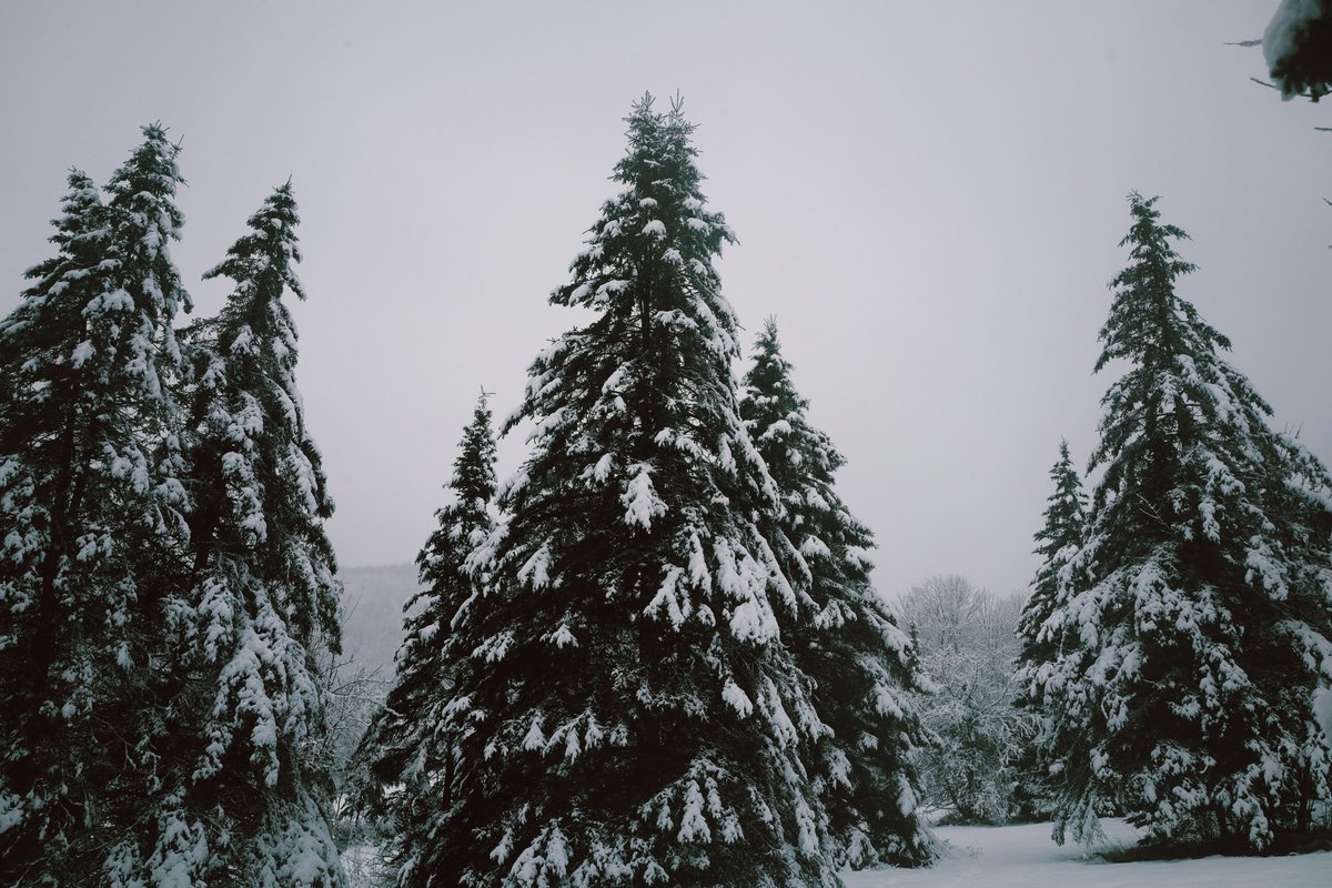 vermont (on a real camera) today