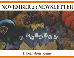 Our latest Active Recovery newsletter is here! If you would like to read about the activities we have been doing this November and the latest updates from the Active Recovery team, follow the link below: southmeadproject.org.uk/_files/ugd/3b8…