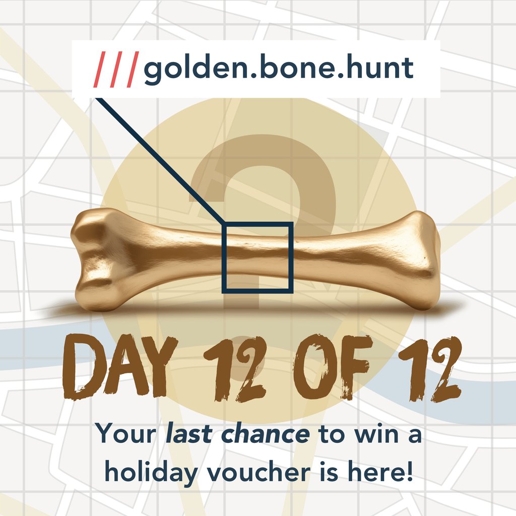 Last chance to enter our #Competition!* 

Today’s what3words – ‘drama.life.cliff’ – points to a commemorative statue for the famous Welsh rescue dog who saved 27 human and two canine lives. 

Enter here: social.caninecottages.co.uk/goldenbonecomp…

#goldenbone

*Ts &amp; Cs apply