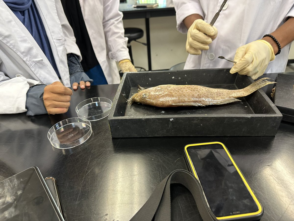 BarkhadleAbdulk's tweet image. Fish Disease lab has causes to work hard for identifying groundbreaking/roots of the disease 🦠 at FPSM lab in Tropical Fisheries at University Malaysia Terengganu 🔬🐟🇲🇾
@AliifiyeAli @A_Addow @Mr_ahmedaden