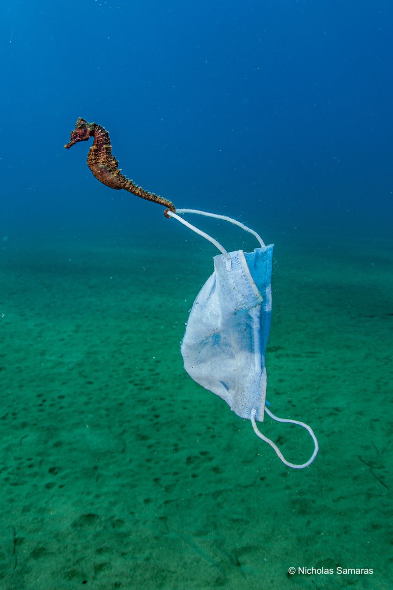 The 3 greatest threats to the planet 🌍👇  

1. The belief that someone else will fix the problem.  

2. Promises to protect the planet without necessary action.  

3. Being convinced that environmental problems can be solved tomorrow.

📸: Nicholas Samaras