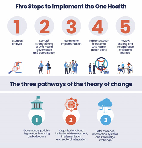 Takeaways from launch of #Quadripartite guide to implementing the #OneHealth JPA at #COP28: ➡ Brazil to host G20 HL One Health seminar ➡ Contribution of traditional knowledge ➡ UN Resident coordinators and country teams as champions for OH ➡️5 steps👇 who.int/news-room/even…