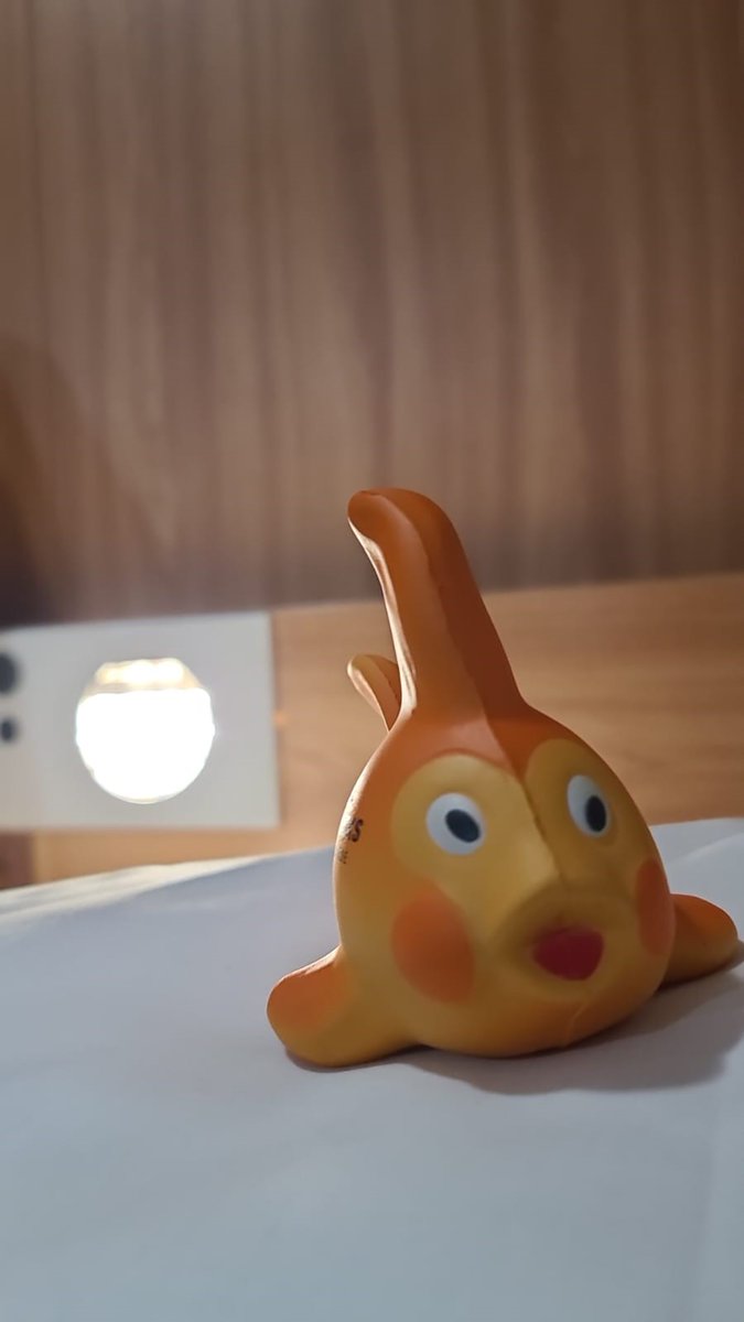 michelle_watk's tweet image. Cody has been off on his travels... this time to Shetland #followthefish #codelocks #marinegrade