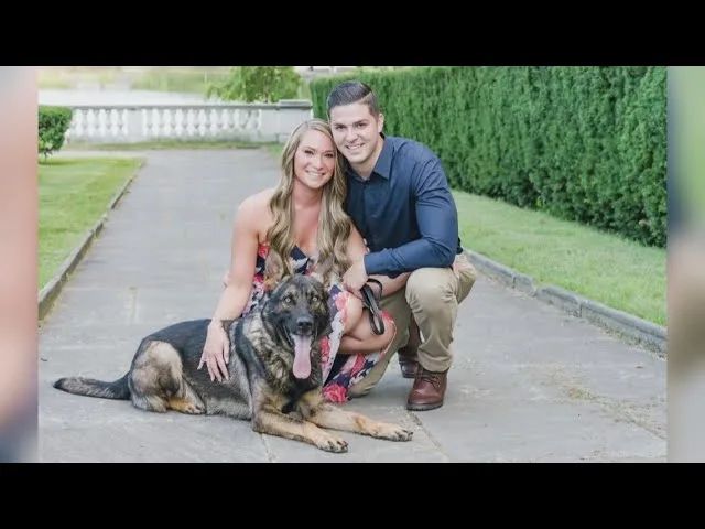 Officer Chad Hagan's $10,000 offer to retire K-9 partner Igor is rejected, sparking public outcry. City defends decision, citing laws prohibiting the sale of police dogs. #K9Igor #ShakerHeights 

Read More: buff.ly/3NnTWQC