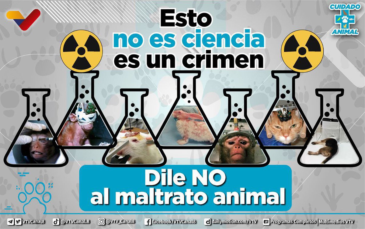 #NoAlMaltratoAnimal🐾| Recuerda que los animales merecen vivir sin ser sometidos a la crueldad, el dolor y el sufrimiento que causan los experimentos o pruebas científicas.

#VenezuelaLibertaria