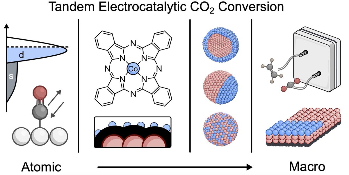🚨 Check out our Review on Tandem #CO2 Electrolysis to C2+ Products⚡️ Congrats to Lewis on his first PhD publication! Link: pubs.rsc.org/en/content/art… @nanoscale_rsc #electrocatalysis