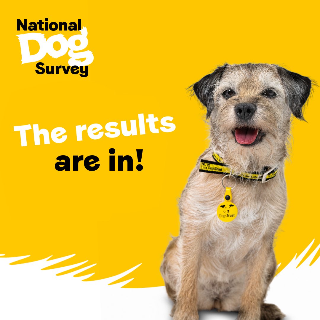 Almost 245K of you filled in our National Dog Survey earlier this year - here's a sneak peek of the results! 🐾 Most popular dog names are Poppy & Alfie 🐾 Labradors are the no. 1 pedigree breed Keep your eyes peeled in Jan for full results, which helps us to shape our services
