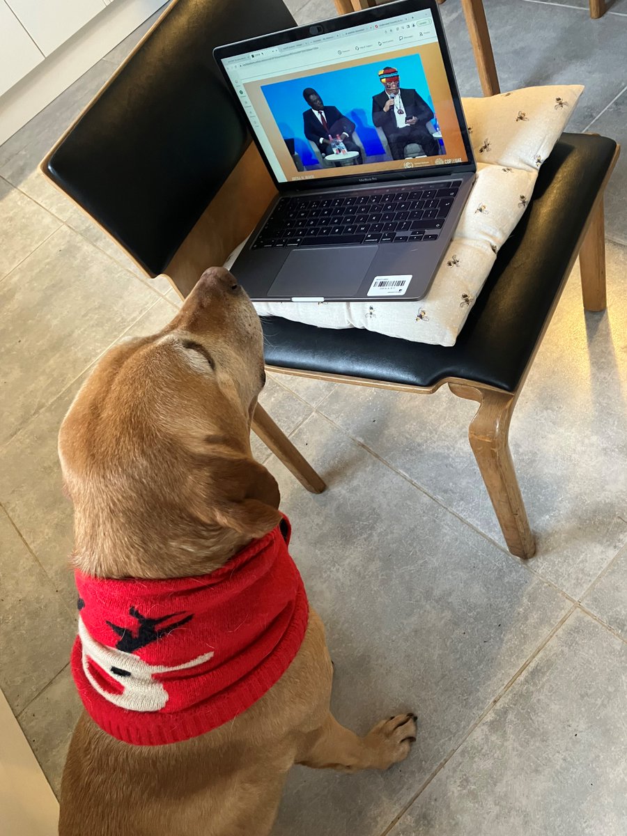 Dr Harriet Thew is currently dog-sitting. Her canine companion took a keen interest in some of the side events at #COP28. Nothing like a dog with up-to-date knowledge of international climate policy 🐶