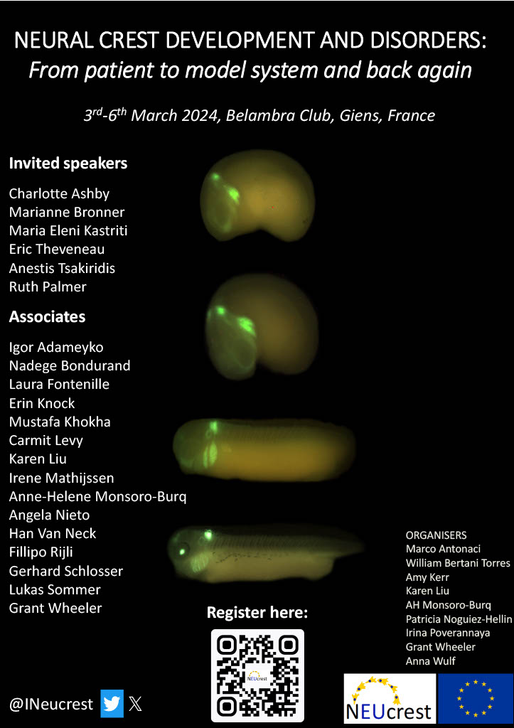 Remember to register for our conference next March! You will have the chance of presenting your work to an audience of experts! Have a look/register at the website here: neucrestfinalconference.org We have a great deal for young researchers ;) #conference #development #Biology