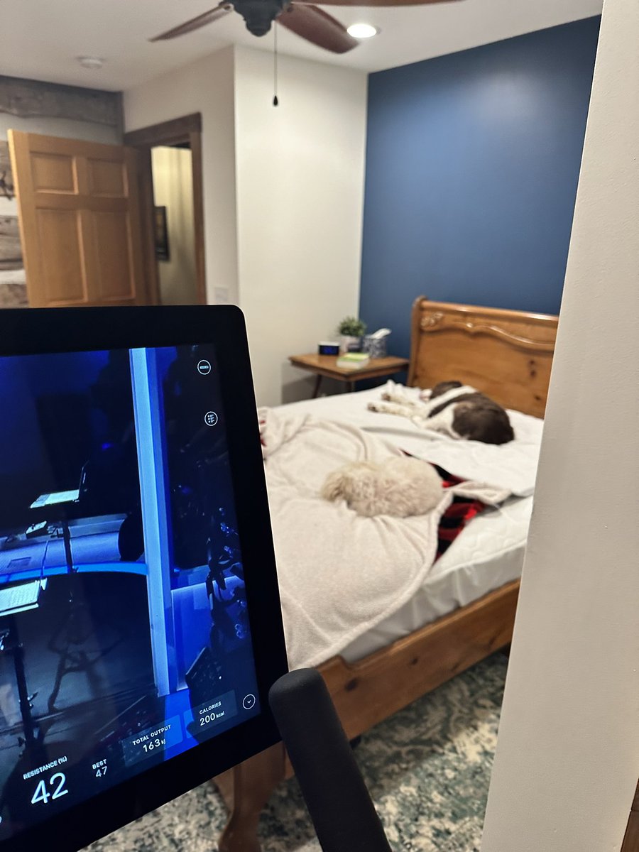 KevinFrye1's tweet image. Two dogs asleep while you are killing yourself on the #Peleton - very motivating