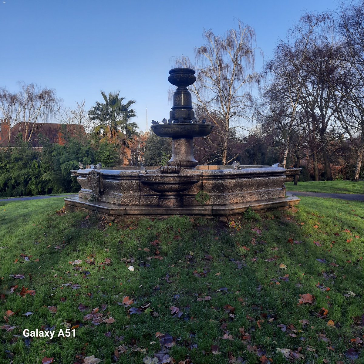 After the heavy night of rainfall, the middle bowl of the St Paul's Fountain is full to overflowing.  Pigeons enjoy a scenic morning bath with the transmitter of <a href="/FriendsAllyPark/">Alexandra Park</a> just visible in the background