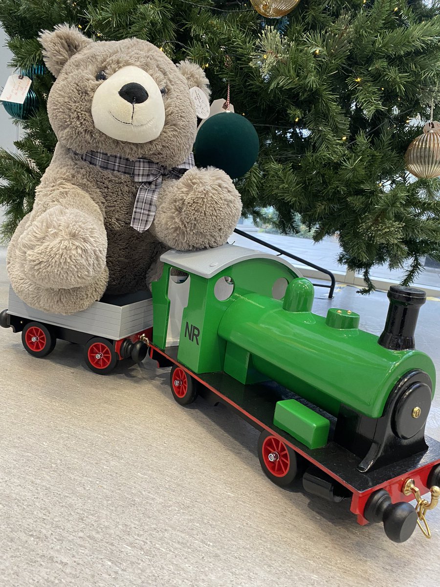 🤞Fancy winning this beautiful handmade wooden train or fluffy teddy bear? 🎅Last few days of our Christmas competition - name the train/bear for £2 an entry. 🎁Find us in the Charity Hub every weekday.