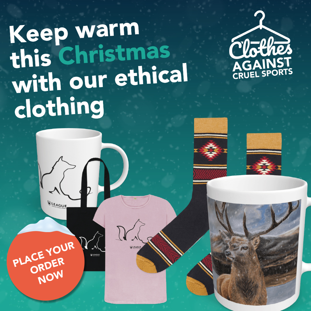 Order your Cards Against Cruel Sports no later than this Saturday if you’re buying our greetings cards, puzzles, games and toys! Every gift you buy will help to end hunting, shooting and animal fighting for good. leagueacs.co.uk/Fx89N