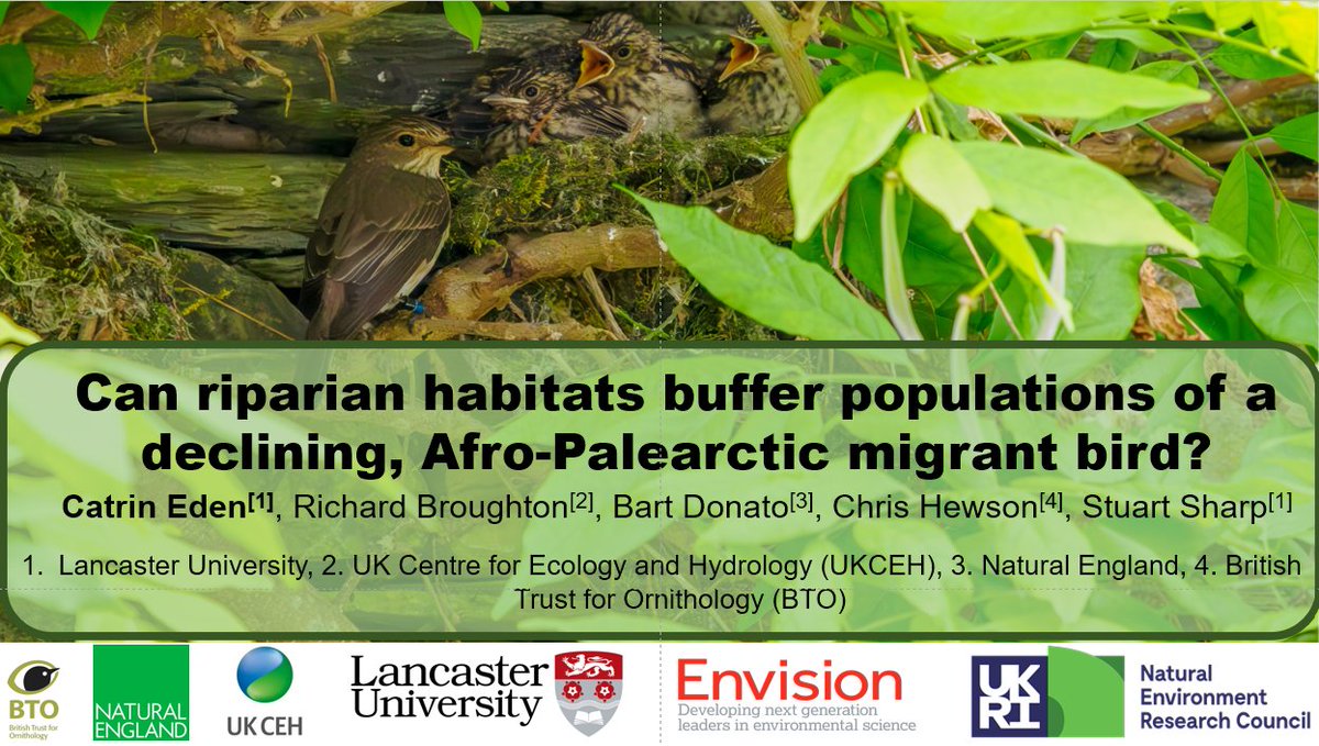 Interested in how insectivorous birds interact with rivers? I will be explaining more in my talk tomorrow at 12:15 in room 2B, aquatic populations session #BES2023 #ornithology