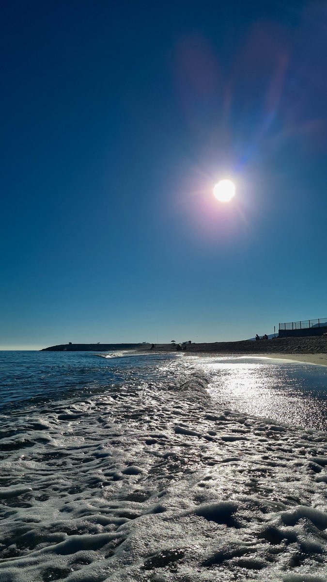 Alberto Gonzalez tweet media