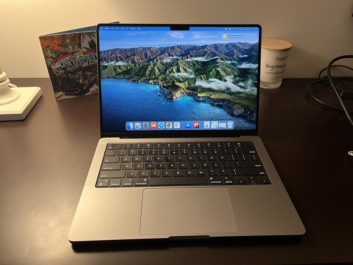 Logan Storti tweet media