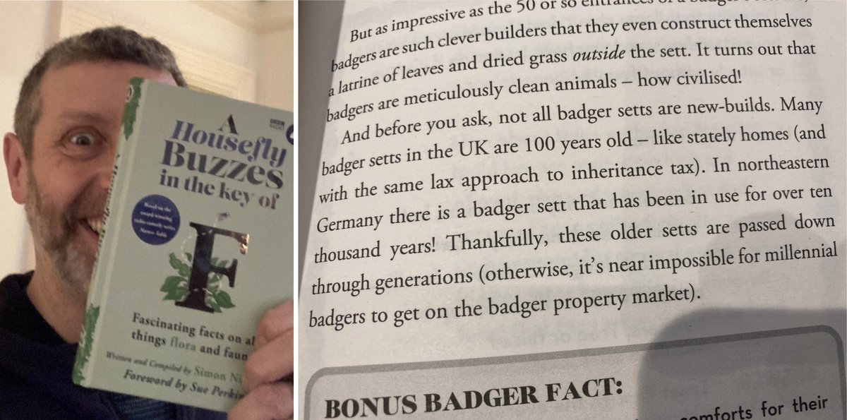 V much enjoying @SimonichollS’ ‘A Housefly Buzzes In The Key Of F’ 10,000 year old badger setts? Bonkers.