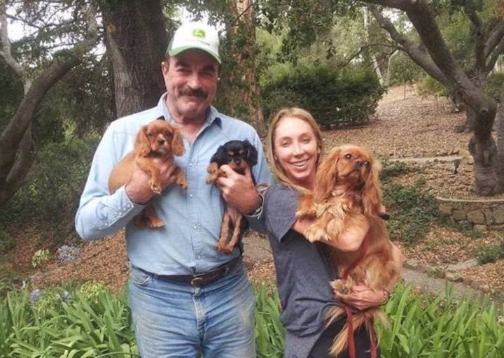 Like my family, Tom Selleck & his wife, Jillie Mack are owned by Cavalier King Charles Spaniels. 
CKCS 🐶