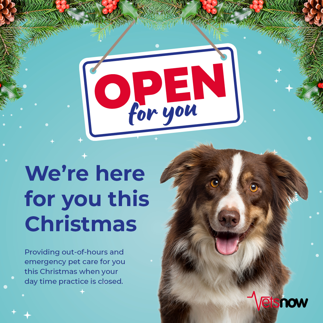 Christmas can bring unexpected pet emergencies - so we are proud to provide out-of-hours and emergency care over the festive period and beyond. ❄️🎄 Click here to find out your nearest Vets Now clinic: bit.ly/3R2KRO0