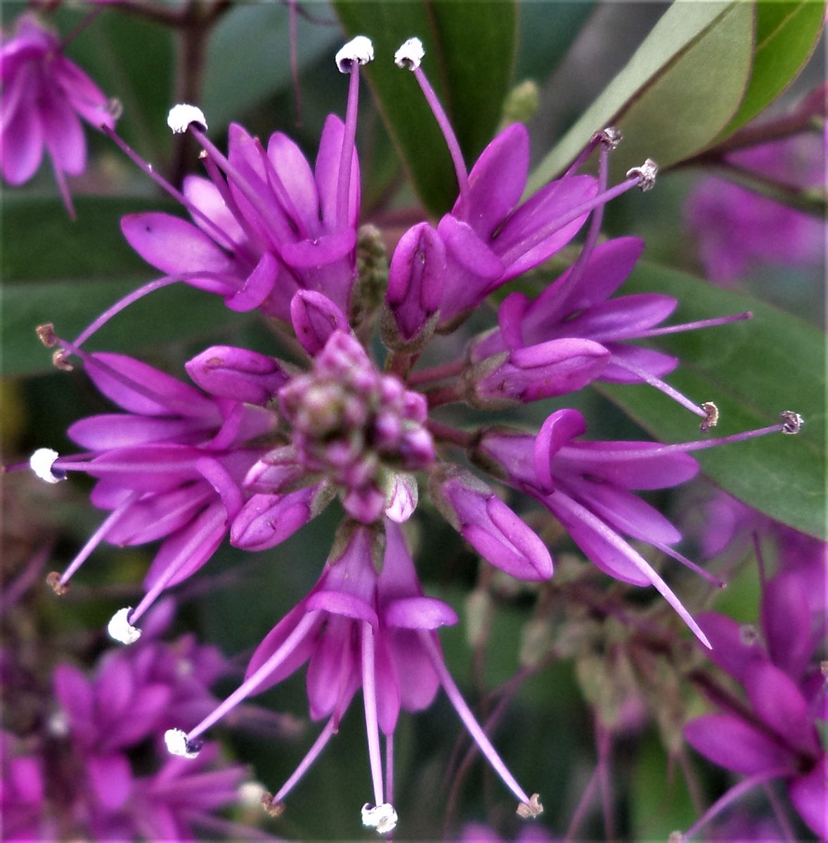 ian (@vappuk) on Twitter photo 