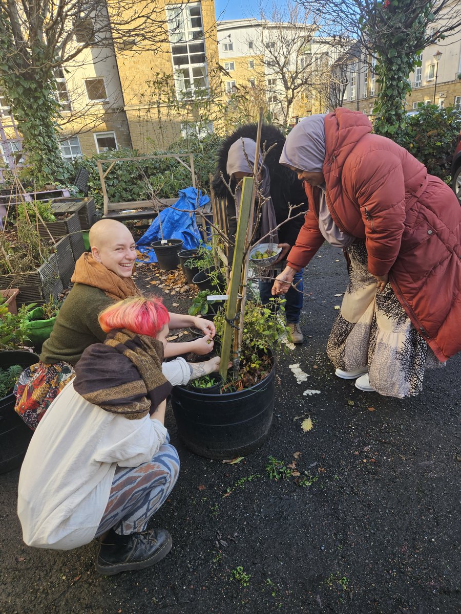 csgreennetwork's tweet image. It&apos;s been a great year of community growing here at our CSGN Growing Food Together Fund.

From installing polytunnels, cropping, to garden workshops and cooking, it&apos;s amazing to see how our funded projects are delivering #communitygrowing improvements across Scotland.

#GFTFund23