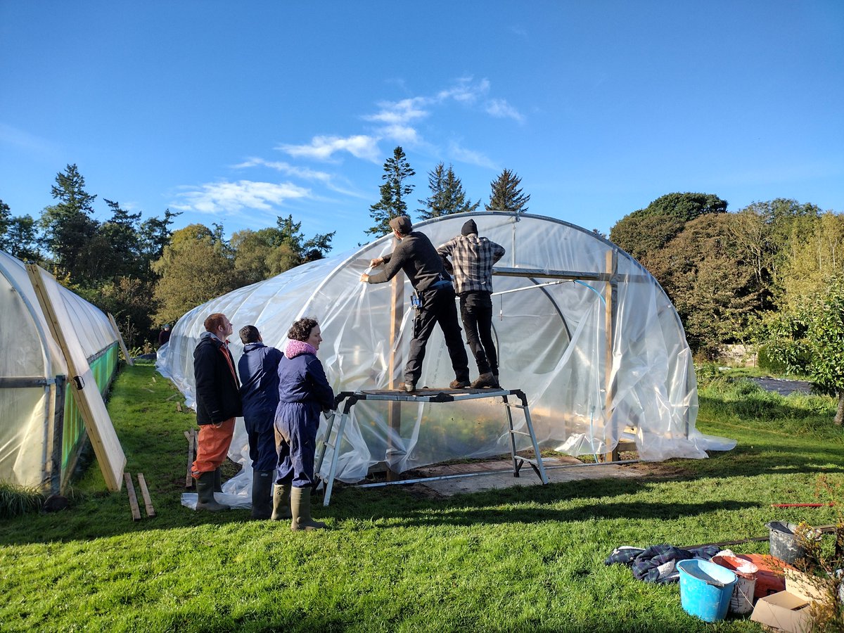 csgreennetwork's tweet image. It&apos;s been a great year of community growing here at our CSGN Growing Food Together Fund.

From installing polytunnels, cropping, to garden workshops and cooking, it&apos;s amazing to see how our funded projects are delivering #communitygrowing improvements across Scotland.

#GFTFund23