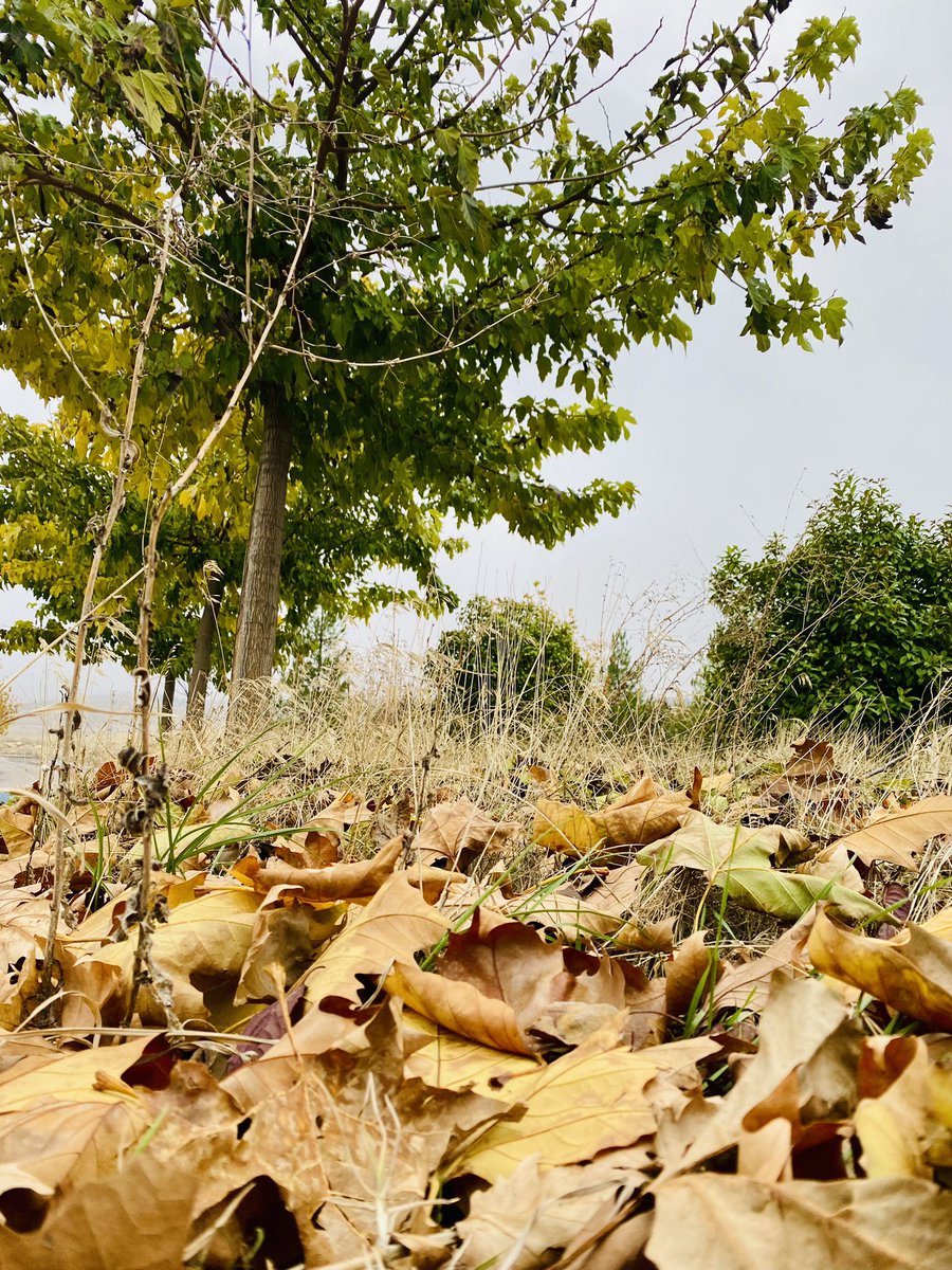 "Bazı hayaller gerçek olmayı çok fazla hak ediyor."