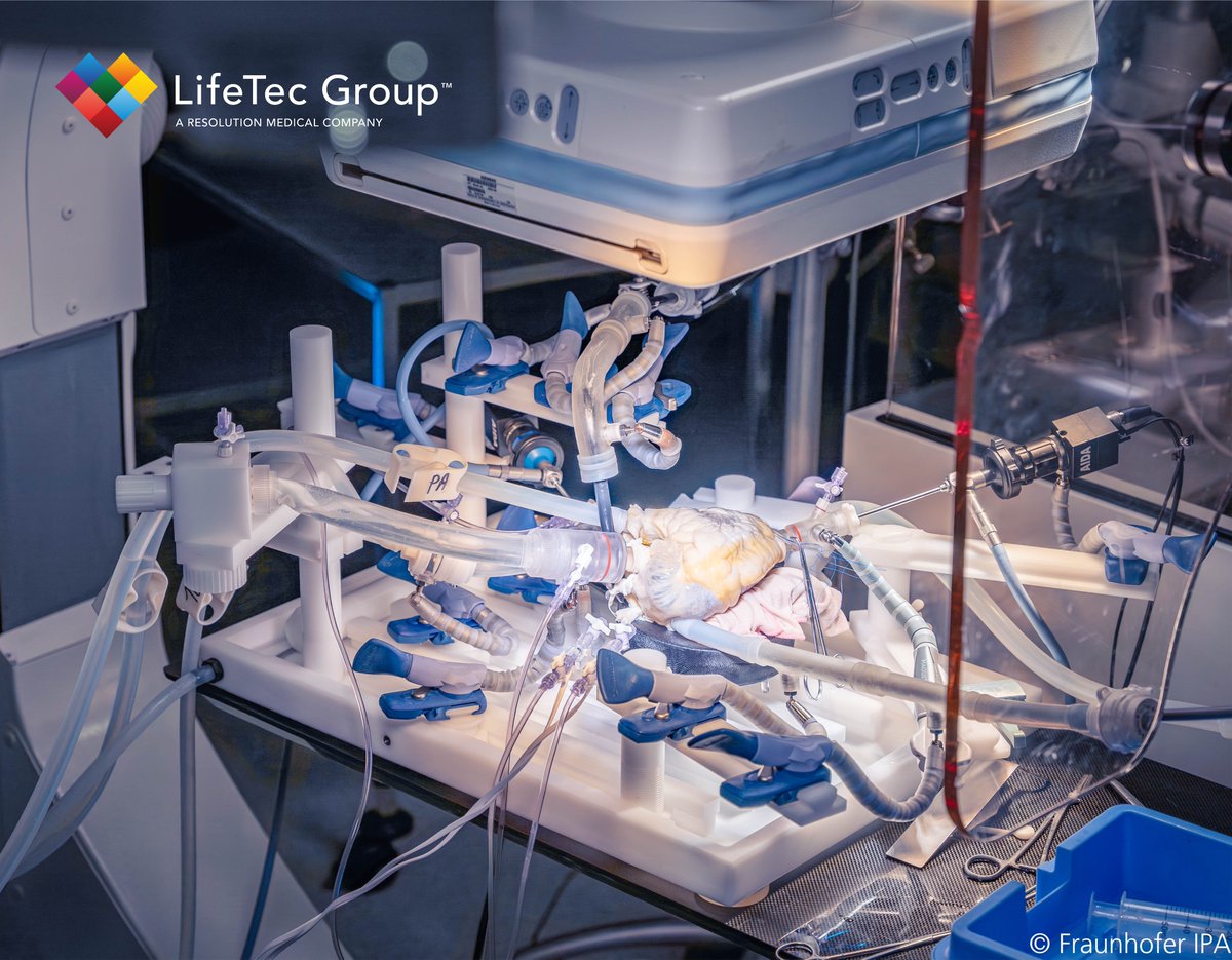 LifeTec's Cardiac BioSimulator plays a crucial role in the successful development and clinical implementation of CoreMedic's ChordArt device for mitral valve repair. 

Find out more: lifetecgroup.com/news/helping-c…