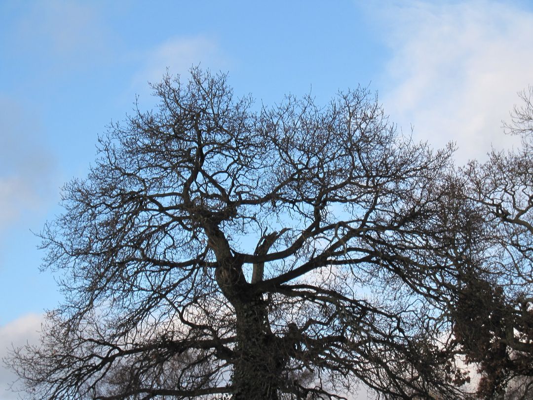 ian (@vappuk) on Twitter photo 