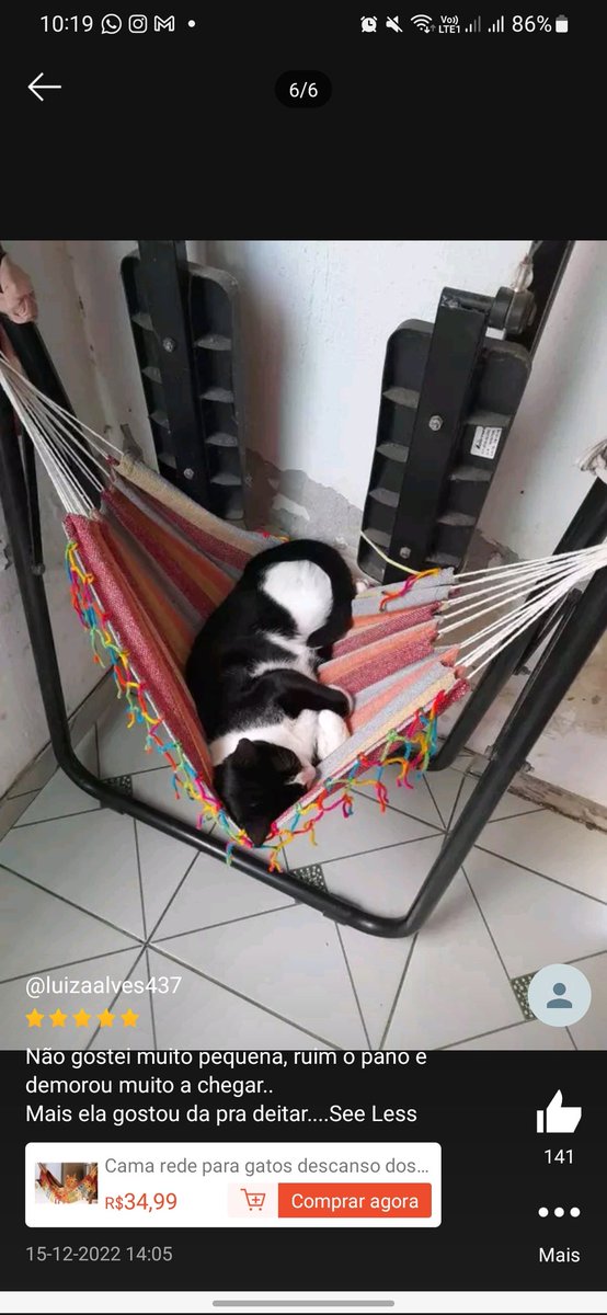 rmdimples's tweet image. Gostei que a pessoa não gostou da rede pra gatos, mas como o gato em si gostou ela deu 5 estrelas