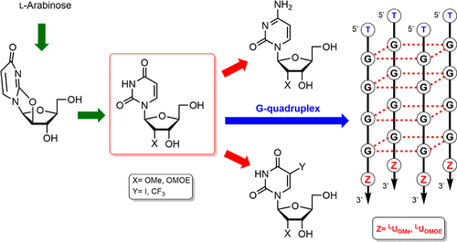 Institute for Advanced Chemistry of Catalonia (@iqac_csic) on Twitter photo π#IQACpapers: "Synthesis of 2β²-O-Methyl/2β²-O-MOE-L-Nucleoside Derivatives and Their Applications: Preparation of G-Quadruplexes, Their Characterization, and Stability Studies", in <a href="/ACS_AEM/">ACS Applied Energy Materials</a>
By researchers from <a href="/uniovi_info/">Universidad Oviedo</a>, <a href="/IQAC_CSIC/">Institute for Advanced Chemistry of Catalonia</a> and Rasayan INC.
π doi.org/10.1021/acsomeβ¦ π#IQACpapers: "Synthesis of 2β²-O-Methyl/2β²-O-MOE-L-Nucleoside Derivatives and Their Applications: Preparation of G-Quadruplexes, Their Characterization, and Stability Studies", in <a href="/ACS_AEM/">ACS Applied Energy Materials</a>
By researchers from <a href="/uniovi_info/">Universidad Oviedo</a>, <a href="/IQAC_CSIC/">Institute for Advanced Chemistry of Catalonia</a> and Rasayan INC.
π doi.org/10.1021/acsomeβ¦