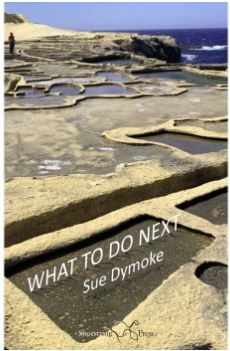 'She delights in the ordinary and turns tales of everyday observations into little snapshots of social history' Geraldine Gray @pidgepie on Sue Dymoke's last collection: littermagazine.com/2023/12/review…