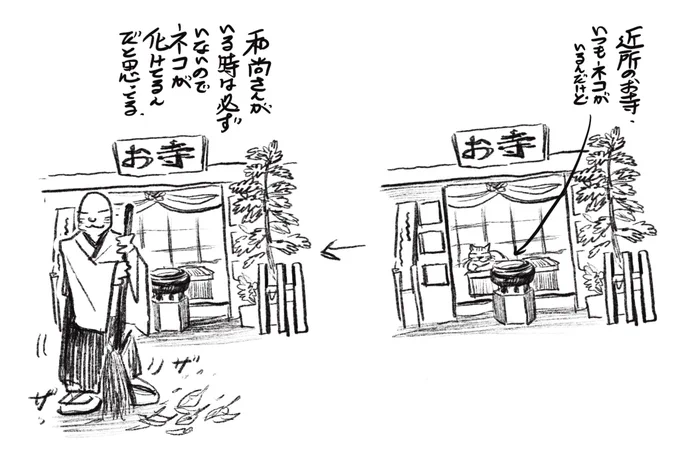 ご近所の観察日記🐈
