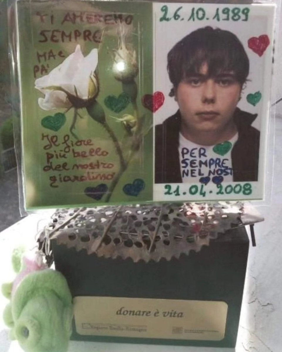 doriadepolo's tweet photo. 💚DONAZIONE ORGANI DAVIDE MURATORI 21.04.2008💚 OSPEDALE MAGGIORE BOLOGNA 💚UN GESTO DI GRANDE AMORE💚 
#Donazioneorgani #donarèvita https://t.co/fxTVC8ndXz