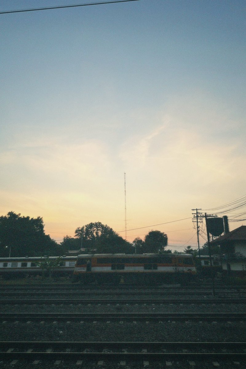 /ᐠ - ˕ -マ / tweet media