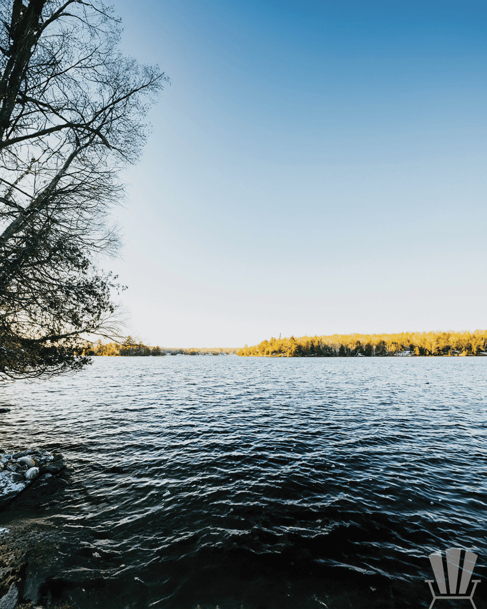 Cottage_ON's tweet photo. Escape to this stunning lakefront retreat! 
Features:
🌊 Spring Lake 
👥 16 Occupant Max
🛏️ 5 Bedrooms
🛁 3 Bathrooms
📅 All-Year Availability
🔥 Outdoor Fire Pit
🏓 Foosball, ping pong
🚣‍♂️ 2 Kayaks, floating lily pad 
📶 Wi-Fi available 
🍖 2 Propane BBQs https://t.co/gg4G1oxEMC