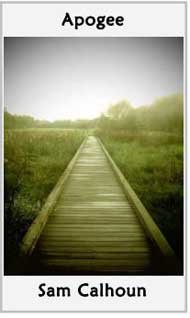 OriGamiFreePoem's tweet image. Sam Calhoun, writer &amp;amp; photographer, Elkmont, AL #microchap

Virga

once
driving home,
I missed the rainbow--

but then
100 blackbirds
landed
in the cool
puddle
of broken
concrete

as if they were shot
out of that orange
jewelweed sky.
•
© 2023

origamipoems.com