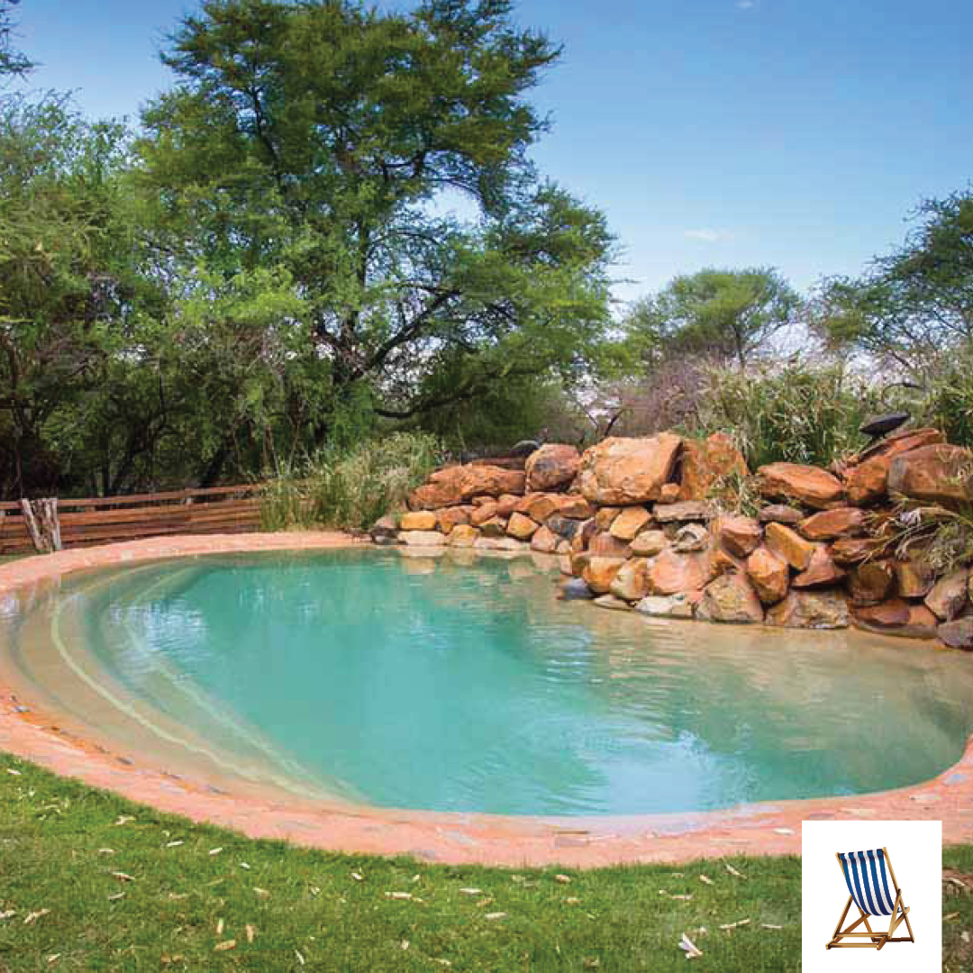 🍹Take a refreshing dip in our pool surrounded by the sounds of the bush. Jump in, unwind and rejuvenate!

#luxurybushholidays
#safariescapes 
#Decemberholidays