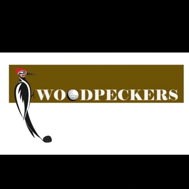 How I came to buy a Golf Team and call it the Woodpeckers When Aditya, a friend, who runs Ace Golfing, a Golfing Experience company, contacted me and a few friends about owning a Golf team in the fast growing Bridgestone Belmondo Golf League, my first thought was my default