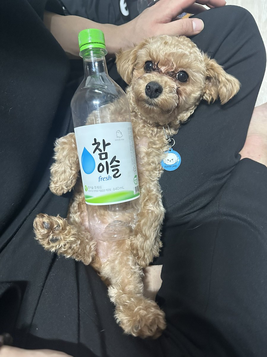 자취하고 잘취해요🤭🤭 #ㄱㅇ #게이