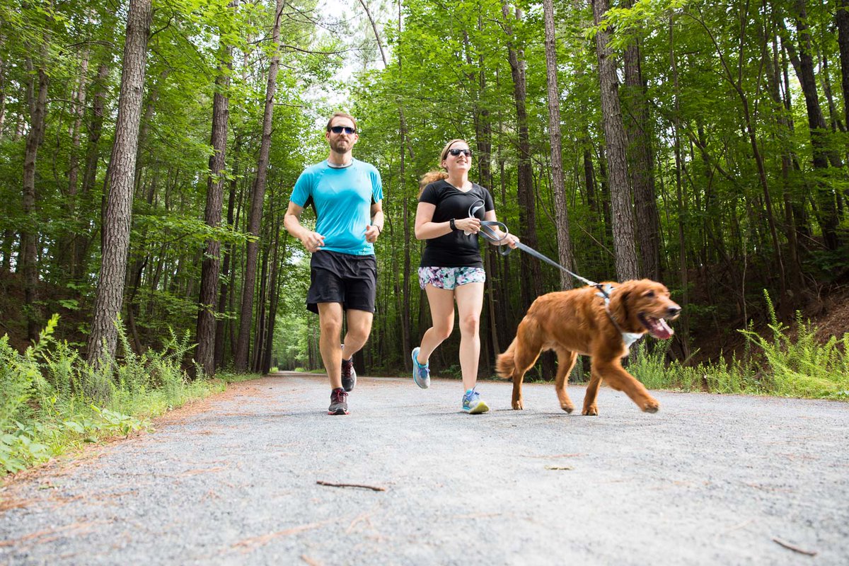 Wow! We love that our parks and trails can provide such inspiration. Whether you’re hiking, biking, running or riding, the #AmericanTobaccoTrail in Wake County is a great place to start your day. #TrailTalkTuesday

#YearOfTheTrail #WakeTrails #TrailTalk #ATT20